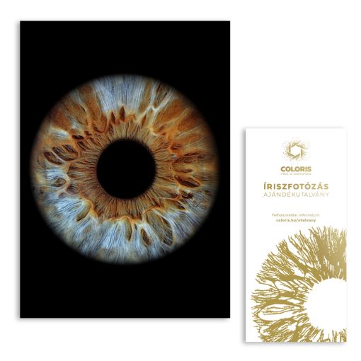 Egy személyes íriszfotó + ajándék effekt