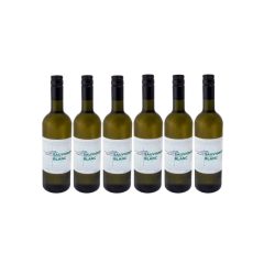 6 palack Sauvignon blanc 2023